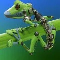 robotic frog