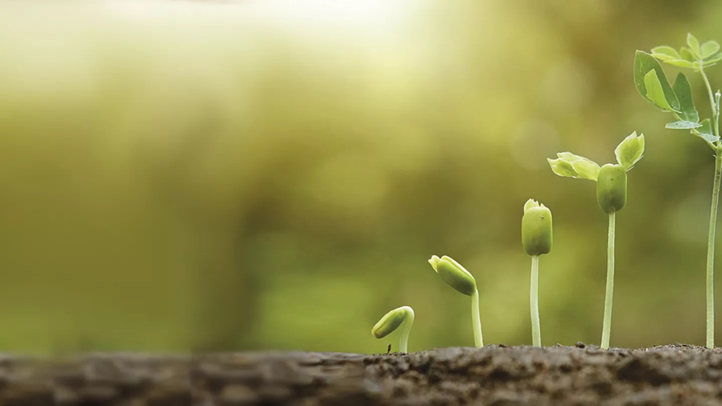 Introducing AI-as-a-Service