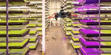 AeroFarms case study