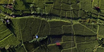 regenerative capitalism