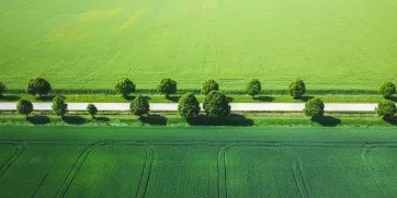 road aerial view